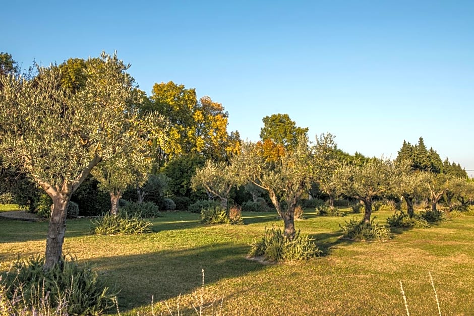 Clos Saint Estève