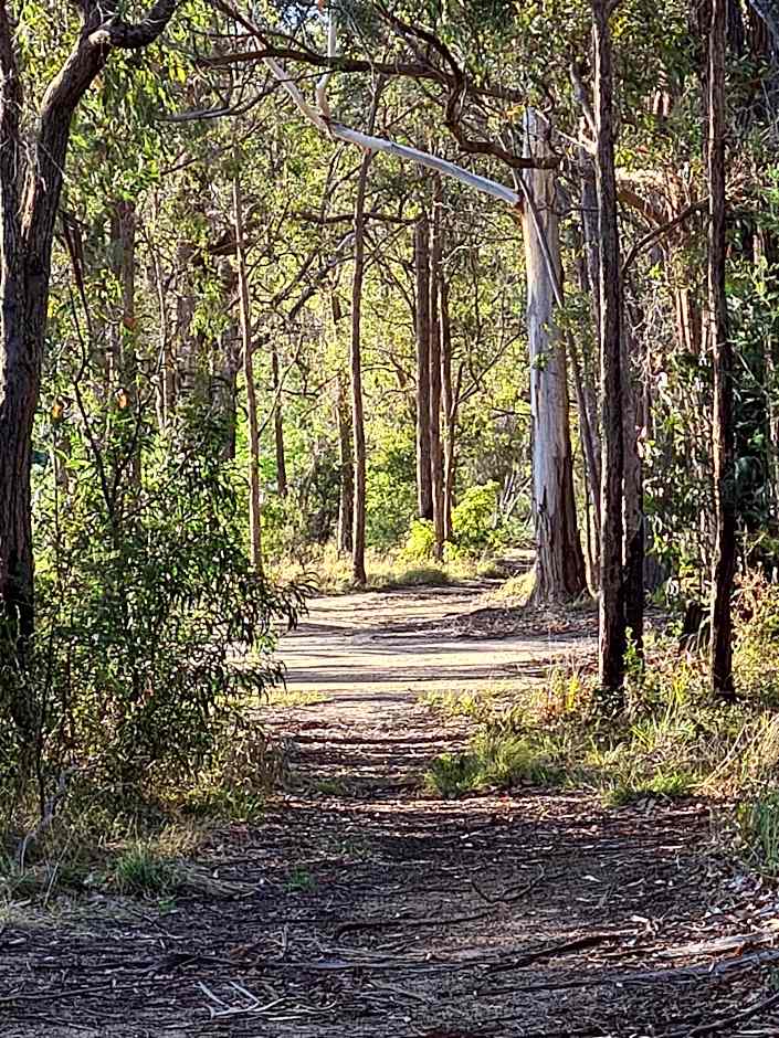 Mallacoota's Shady Gully Caravan Park