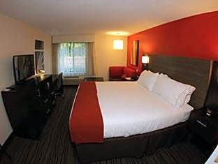 1 King Bed Standard