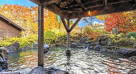KAMENOI HOTEL TAZAWAKO
