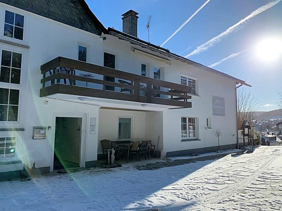 Berghotel-Willingen