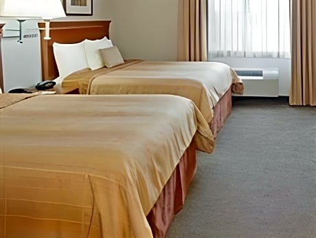 Studio Suite with Two Double Beds