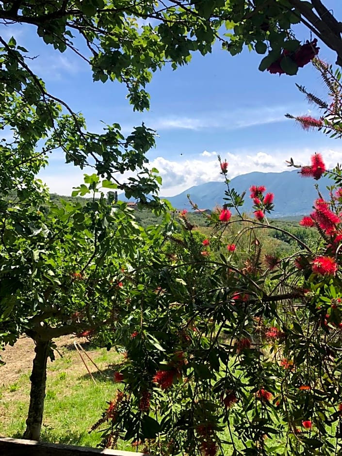 B&B La Vigna Di Mario