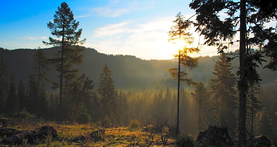 Rainbachhütte-Waldgut Granig