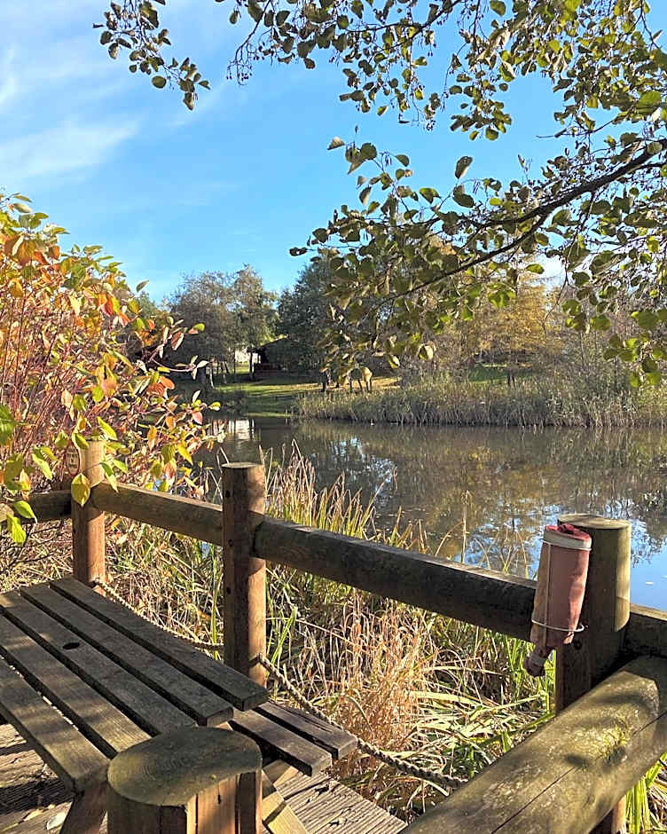 Angie's Haven, Superb 2 Bedroom Lodge with Hot Tub - Sleeps 6 - Felmoor Park