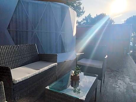 Green Bus View Inside Hills Khaokho 