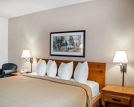 1 King Bed, Nonsmoking, Accessible, Upgrade