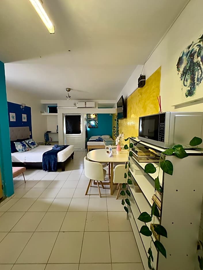 Suites Brisa Marina - atrás de Playa Regatas y el Malecón, 6 calles del Acuario