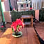 La terrazza