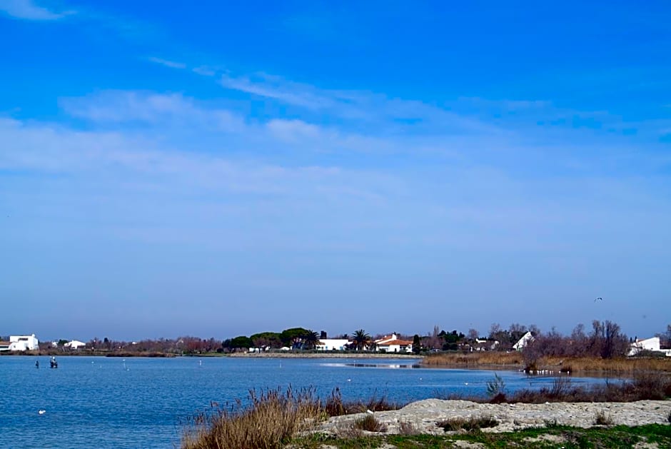 Hotel Les Palmiers En Camargue