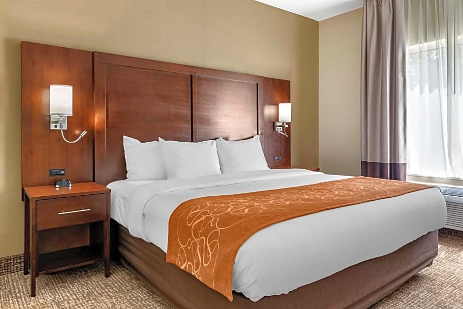 Comfort Suites Auburn near I-69