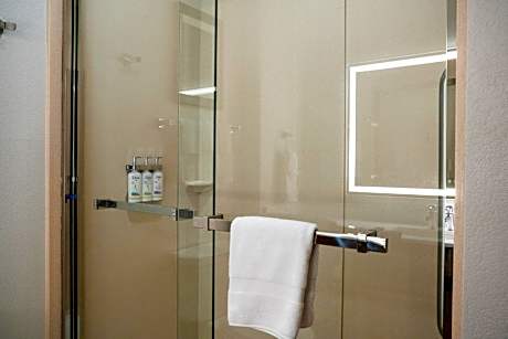 Standard King Room with Walk-In Shower