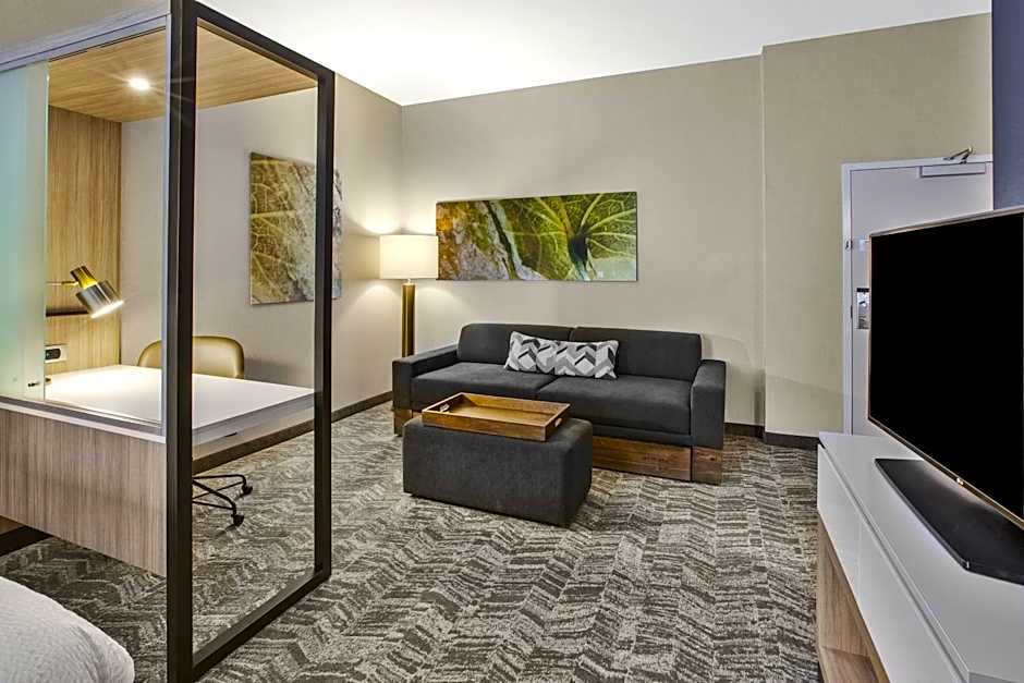 SpringHill Suites by Marriott Pittsburgh Butler/Centre City