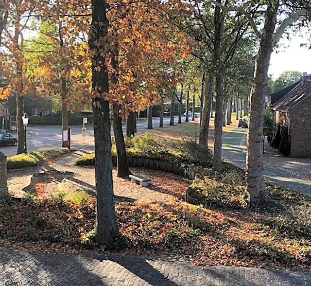 B&B De Roode Leeuw