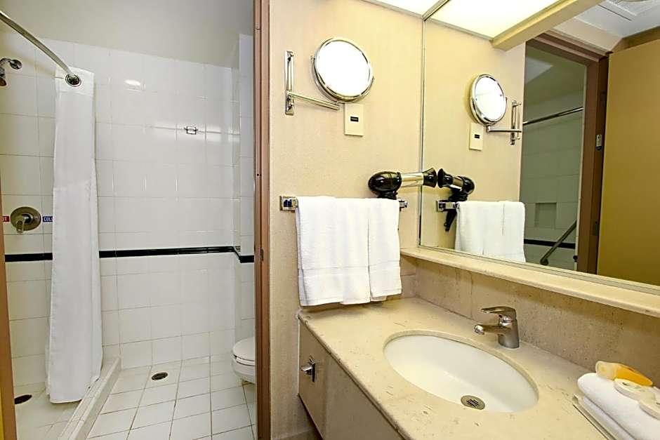 Holiday Inn Leon-Convention Center By IHG