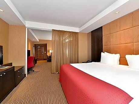 Business Suite 1 King Bed