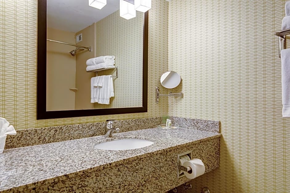 Holiday Inn Airport West Earth City By IHG
