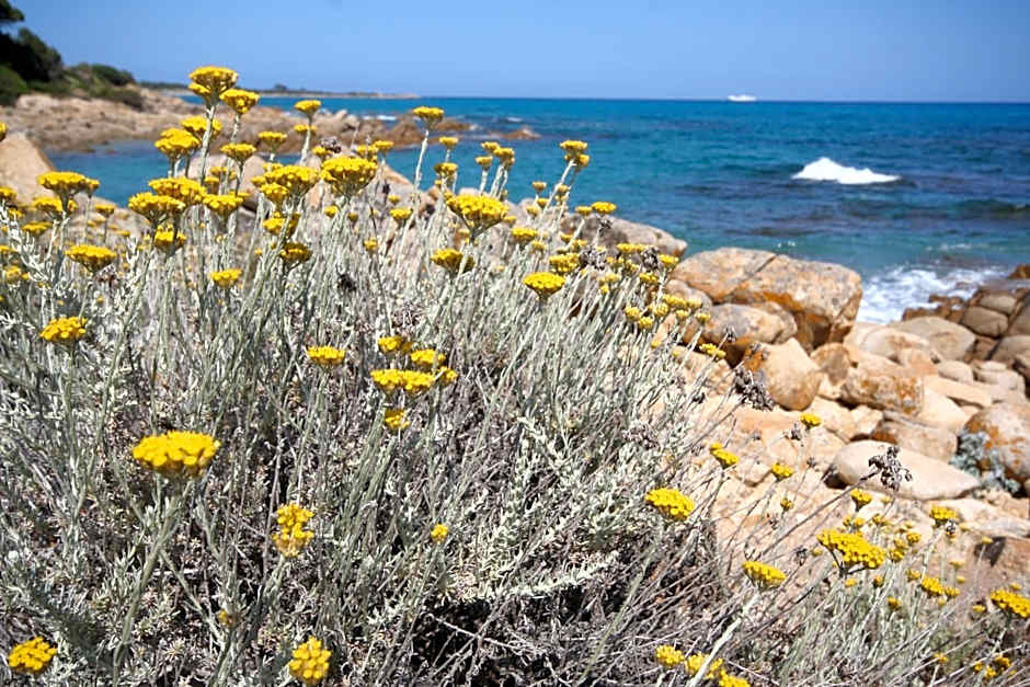 Villa La Conchiglia Rooms