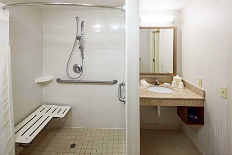 1 King Mobility Accessible W/Roll In Shower