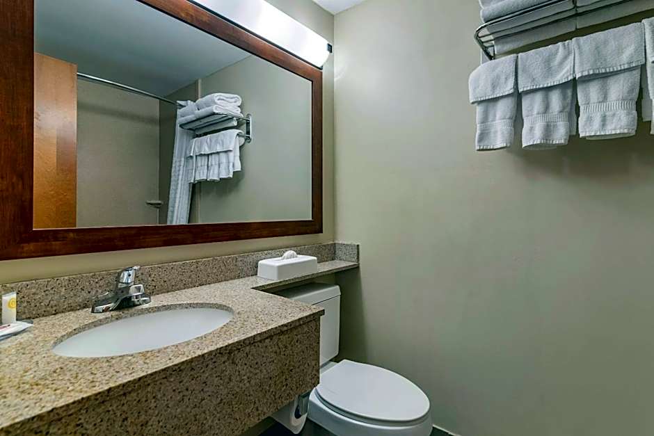 Comfort Inn Albany/Glenmont