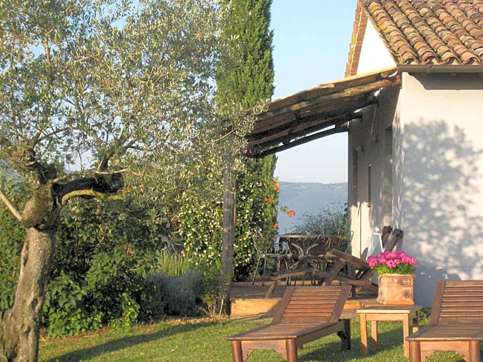 Tenuta Di Canonica