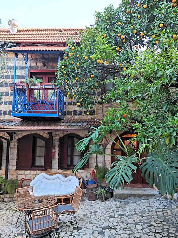 וילה תהילה המחודש - The new Villa Tehila