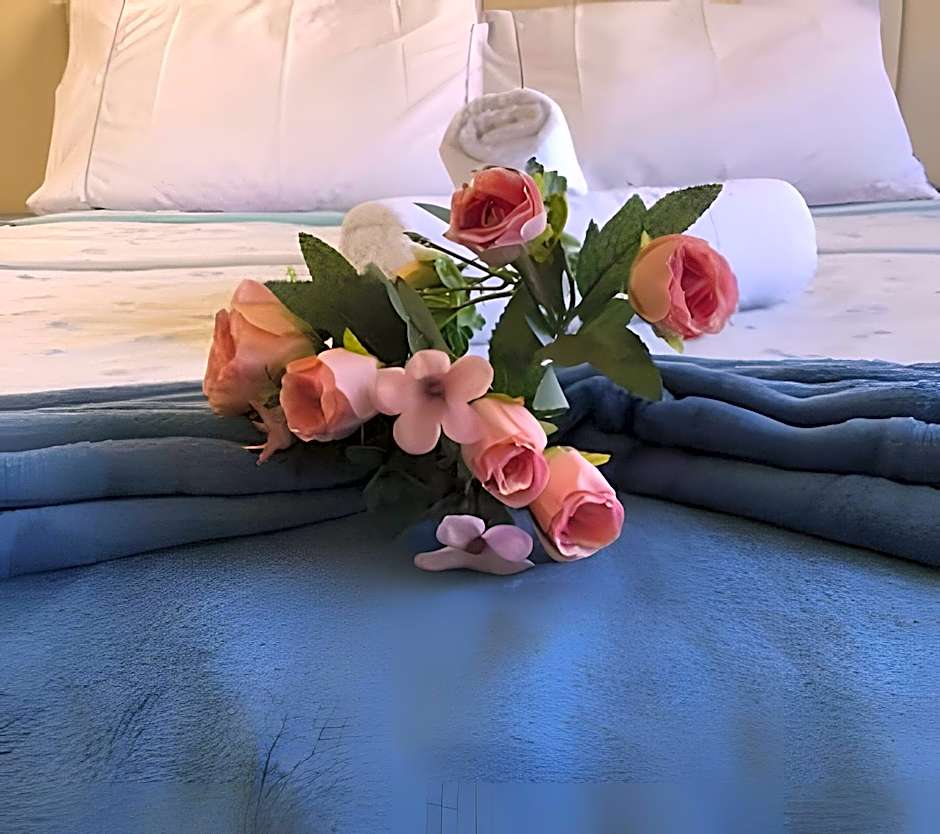 Brasília Studio - Tecnologia & Cia.