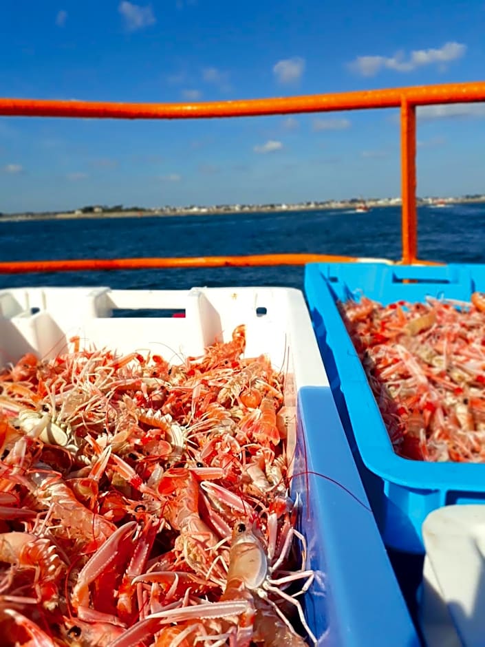 Guilvinec Parc Residence