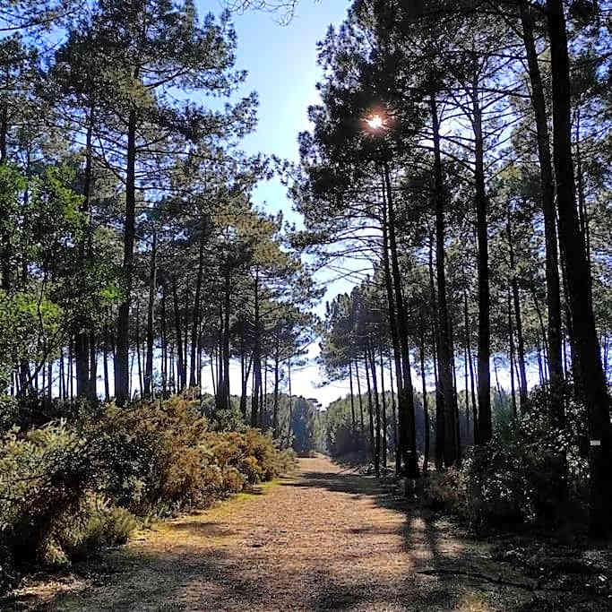 Les jardins de Mimizan