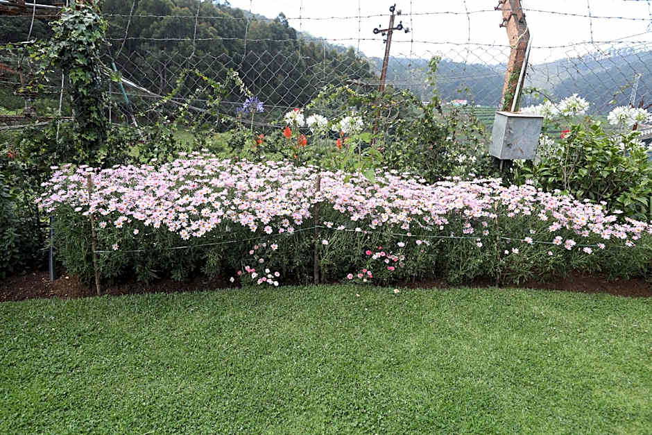 Delightz Inn Resorts