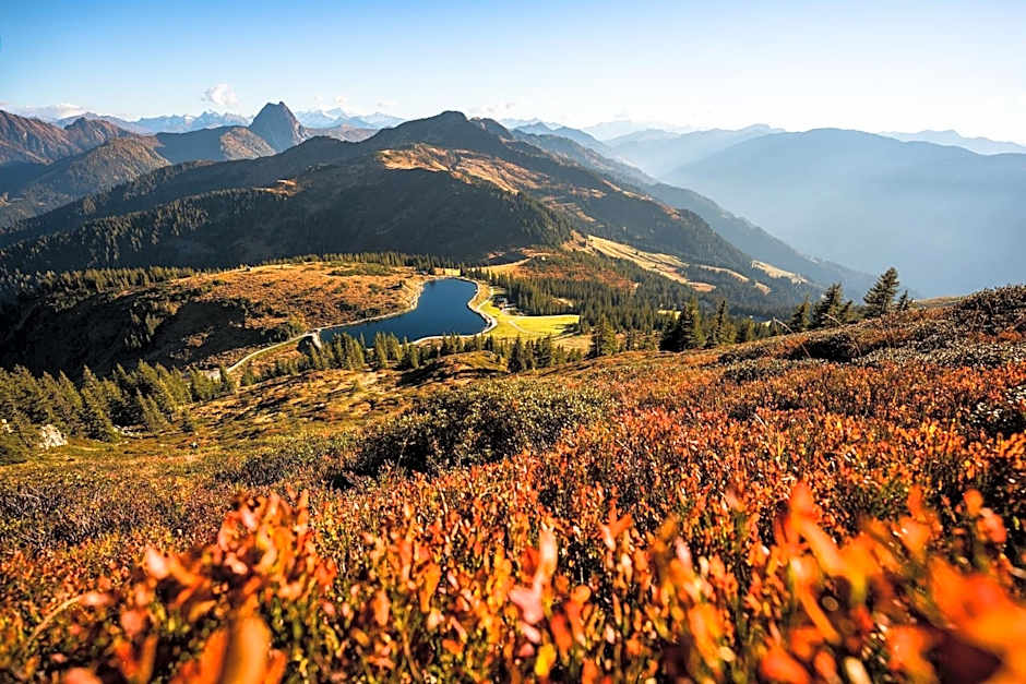 Frühstückspension Samerhof