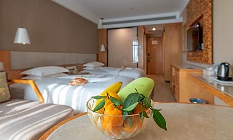 Twin Executive Sea View