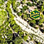 Canario Bungalows