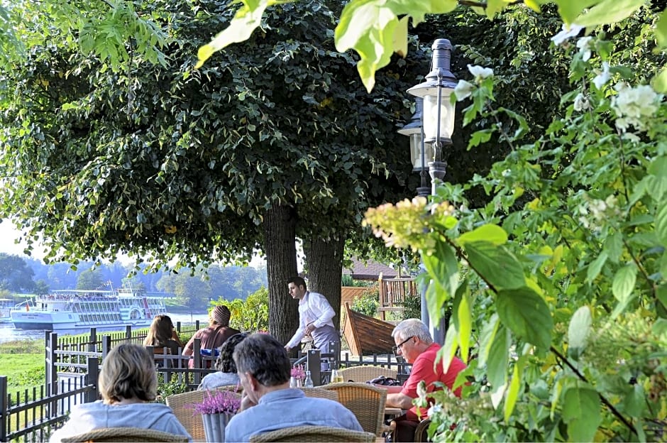 Elbterrasse Wachwitz