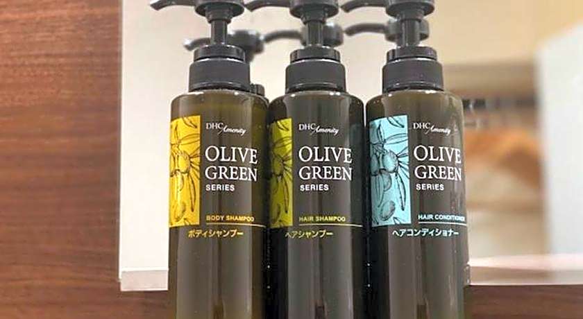 FLEXSTAY INN Sakuragicho