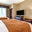 Comfort Suites Airport South