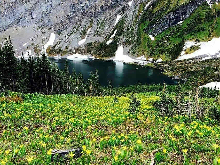 Sunny Tranquil Woods Turret in Falcon Crest Lodge