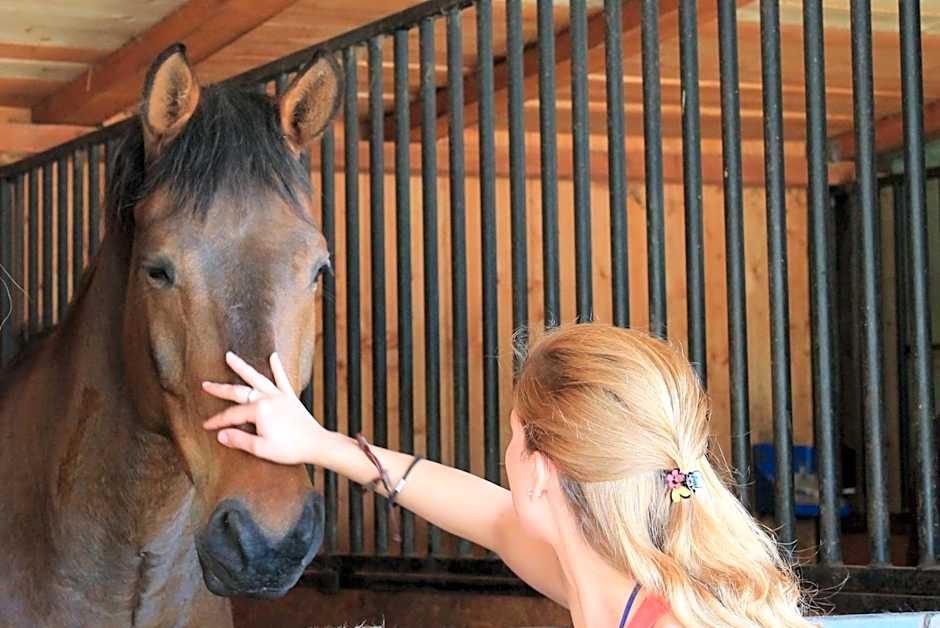 Stajnia Sarnówek Nad Jeziorem Różany