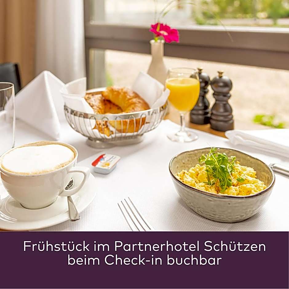 Hotel Schiff am Rhein