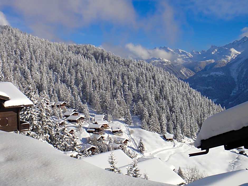 Hotel Slalom