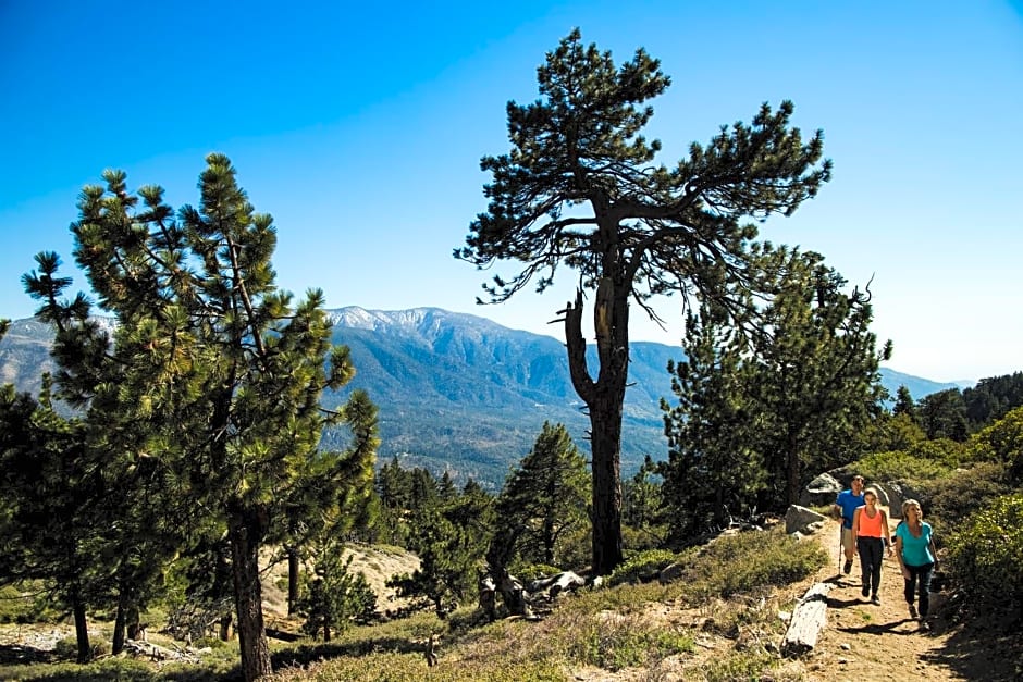 Embers Lodge & Cabins