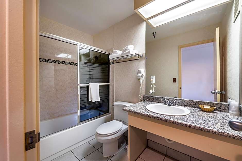 Hotel International