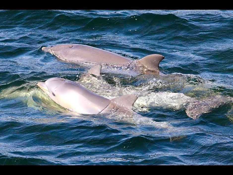 Port Adelaide Backpackers