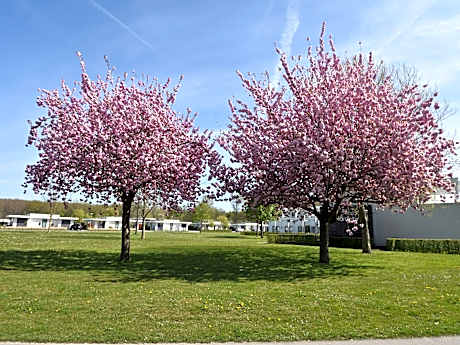 Majestic villa in Zeewolde with garden