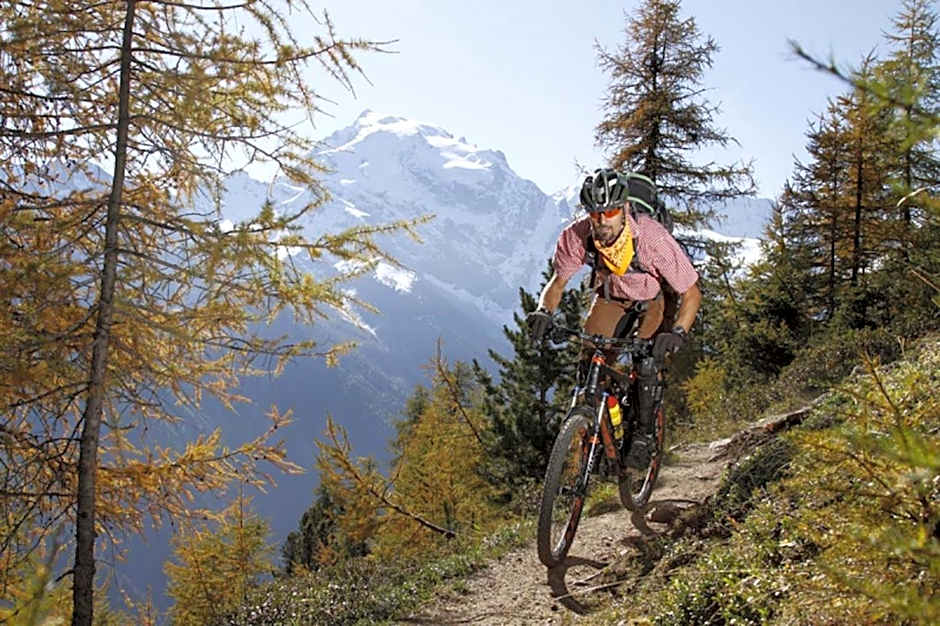 Pension & Residence Astoria