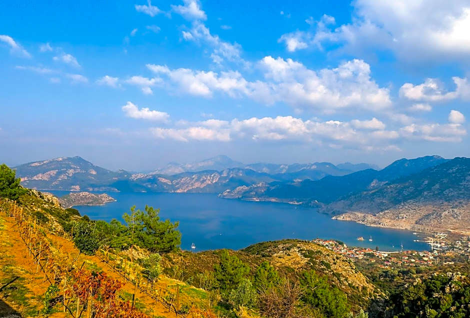 Swan Lake Hotel - Adult Only