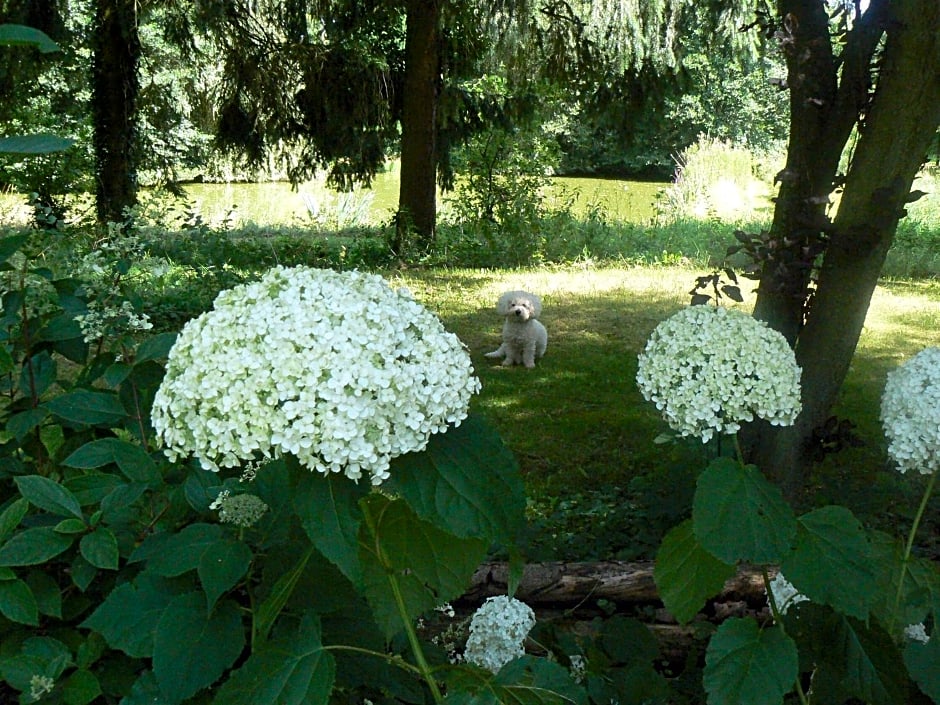 Chambre d'hôtes du Moulin de Landonvillers