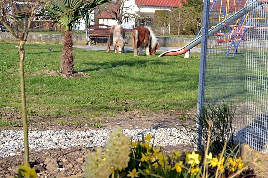 Hotel - Restaurant Hirschen - Werneths Landgasthof beim Europa- Park Rust