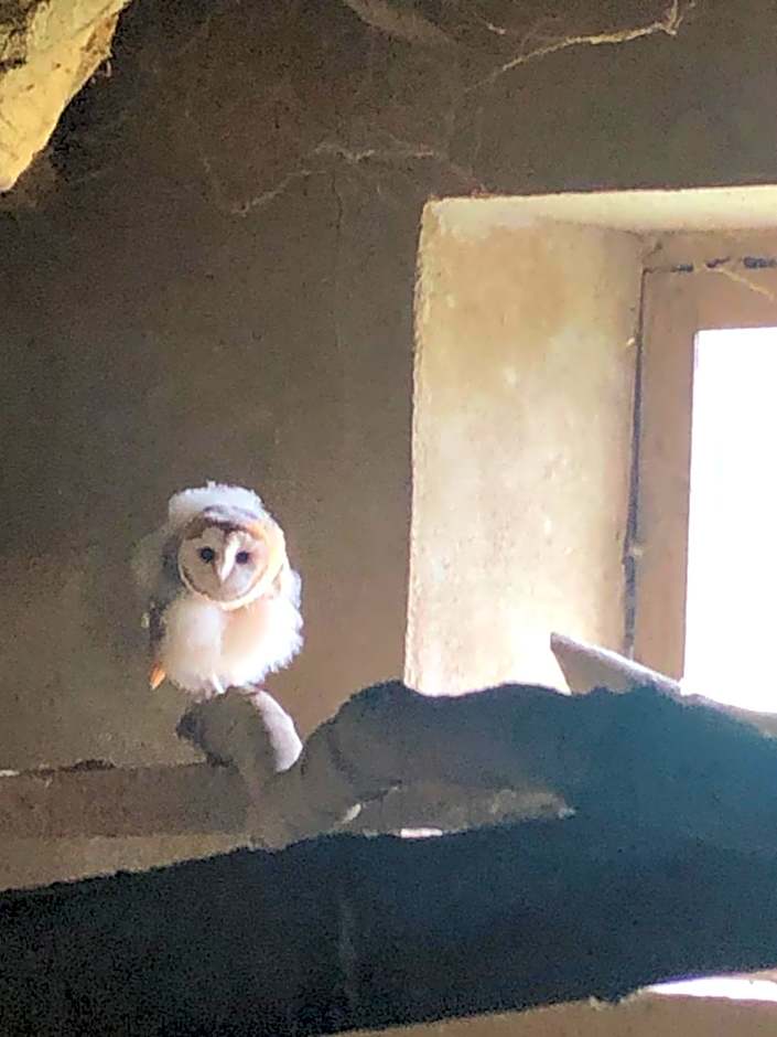 Ancien hôtel aux moines Pierrefitte St Lo