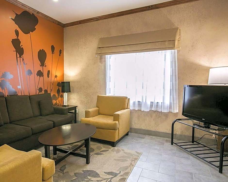Sleep Inn & Suites Hwy 290/Nw Freeway